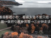 番茄影视小抄：看镜头是不是只给一面→做把引用补完整→三分钟走读