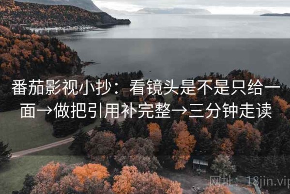 番茄影视小抄：看镜头是不是只给一面→做把引用补完整→三分钟走读