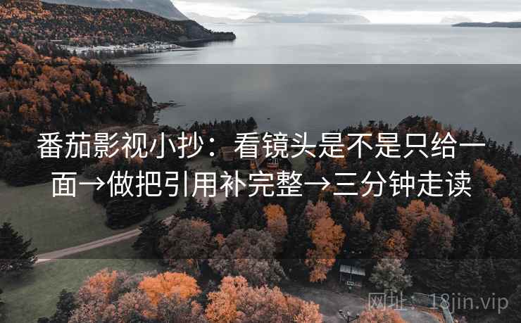 番茄影视小抄：看镜头是不是只给一面→做把引用补完整→三分钟走读